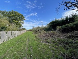 Photo 7- click for photo gallery